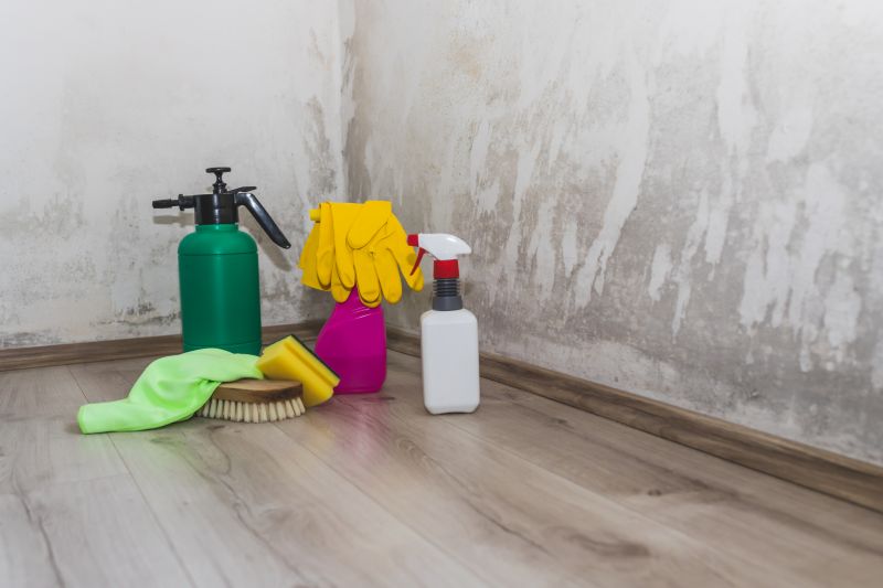 Air Duct Mold Removal in Essex County, NJ