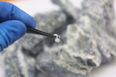 Asbestos Assessment in Monmouth County, NJ
