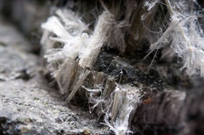 Asbestos Inspection Service
