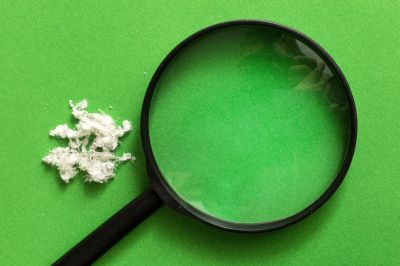 Asbestos Testing Service