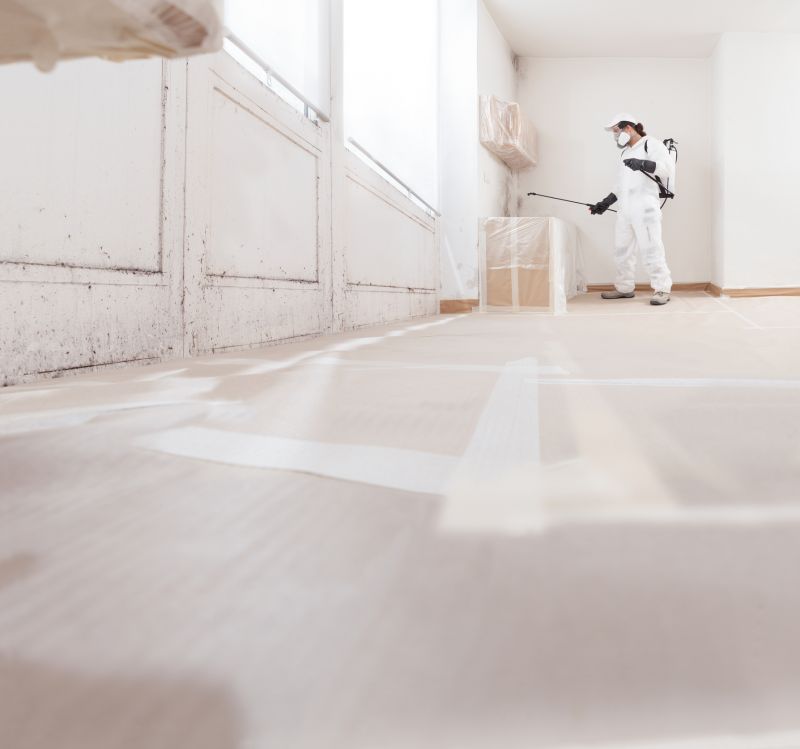 Attic Mold Remediation in West Palm Beach, FL