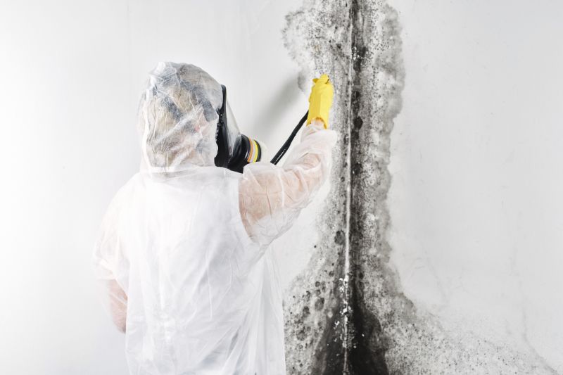 Attic Mold Remediation in Fort Worth, TX