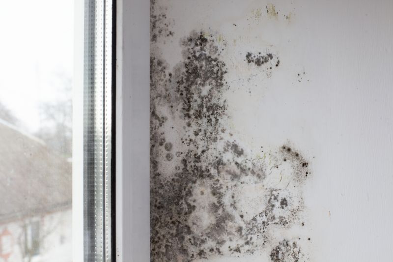 Ceiling Mold Removal in Jupiter, FL