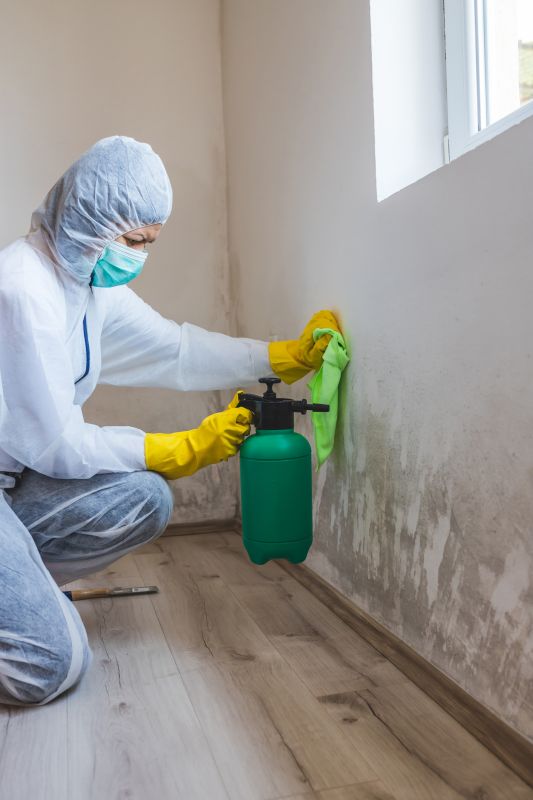 Garage Mold Remediation in Essex County, NJ