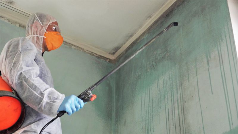 Garage Mold Remediation in Boca Raton, FL