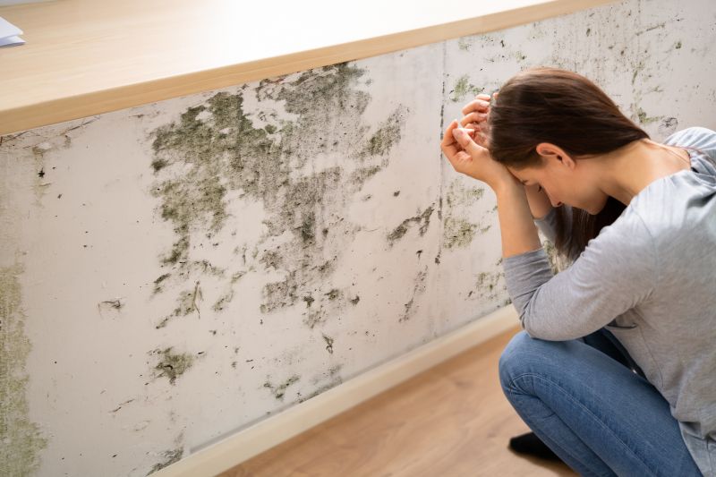 Mold Abatement in Boynton Beach, FL