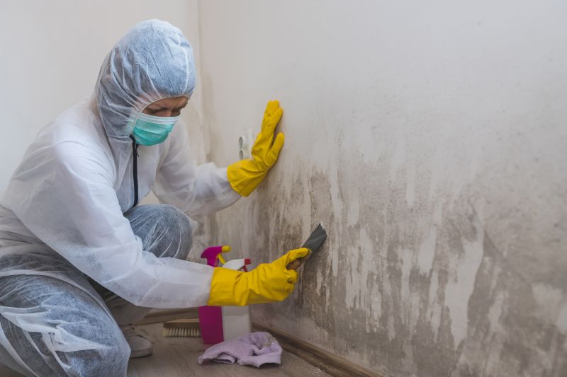 Mold Abatement Service in Fort Lauderdale, FL
