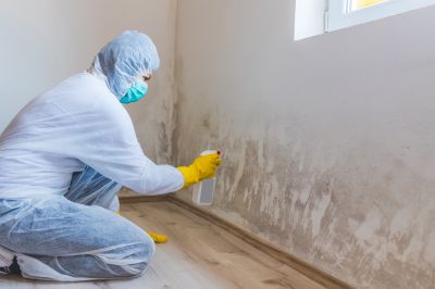 Mold Abatement Service in Fort Worth, TX