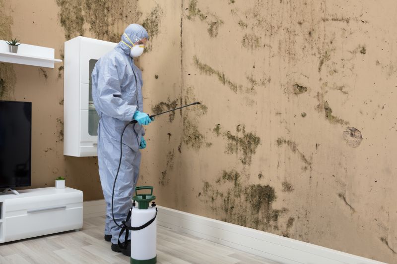 Mold Control in Arlington, TX