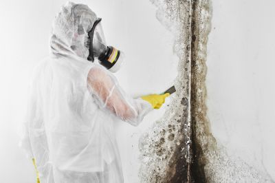 Mold Inspection And Removal in Plano, TX