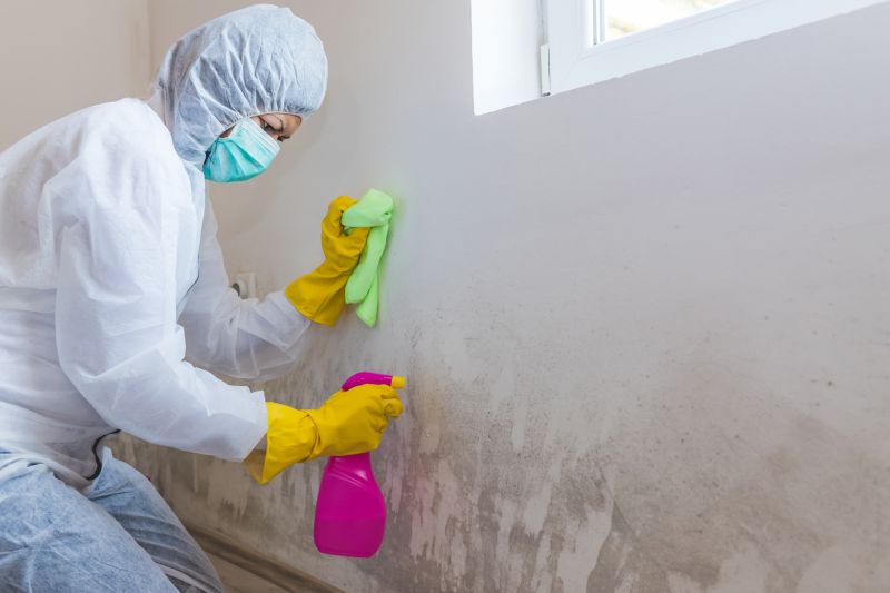 Mold Remediation Service in Fort Lauderdale, FL