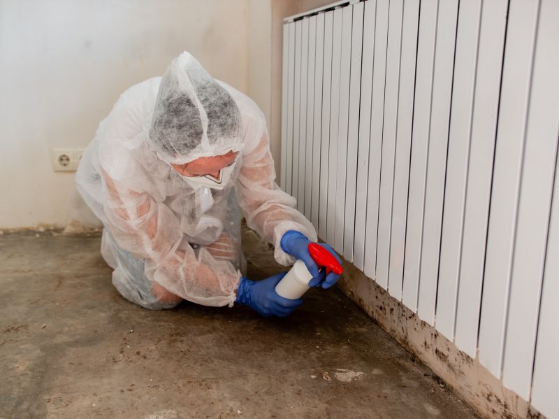 Mold Removal in West Palm Beach, FL