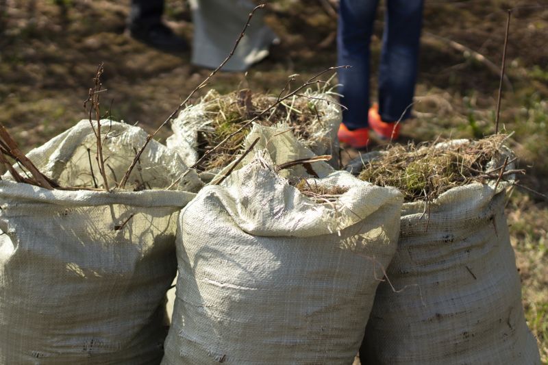 Vermiculite Removal Service