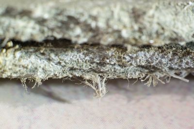 Vermiculite Removal Service in Somerset County, NJ