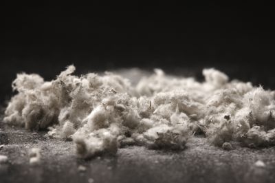 Asbestos Fibers