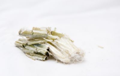 Get in Contact with an Expert Today