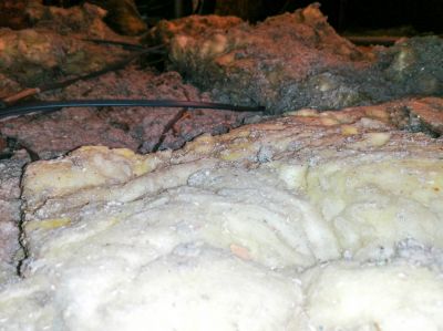 Receive Accurate Data on The Prescence of Asbestos